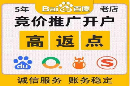谷歌竞价案例：成功案例分析及启示